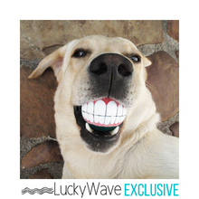 Load image into Gallery viewer, SqueakyTeeth™ Smiling Dog Toy
