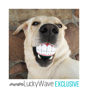SqueakyTeeth™ Smiling Dog Toy