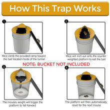 Load image into Gallery viewer, LuckyWave™- Safe &amp; Sanitary Rodent Trap
